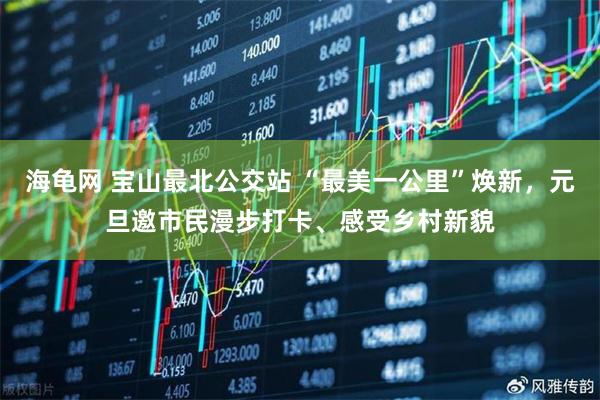 海龟网 宝山最北公交站 “最美一公里”焕新，元旦邀市民漫步打卡、感受乡村新貌