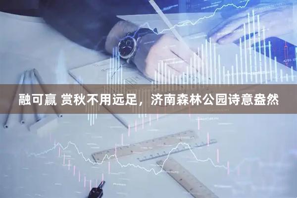 融可赢 赏秋不用远足，济南森林公园诗意盎然